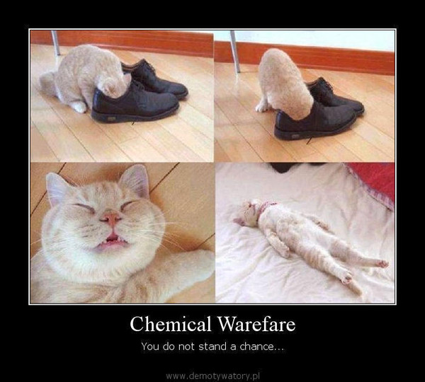 Chemical Warefare